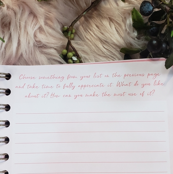 Daily Journal Gratitude I am Grateful Guided Journal - Picture 6 of 14